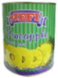 Jefi Pineapple Slices In Syrup 3000gm